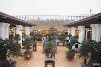 Un edificio lleno de árboles en macetas en un patio. en Khách sạn Phương Anh, en HÆ°ng YÃªn