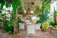 Ban Muang Thaeoภูผาหน้าเล PhuPha-NaLay Cafe'n Camping的一间布满植物的房间,桌子和椅子