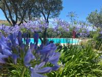 a garden with purple flowers in front of a swimming pool at Mas de la Beaume in Gordes
