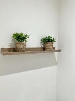 two plants on a wooden shelf on a wall at Bienvenue chez Tom in Lamballe