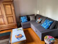 a living room with a gray couch with blue pillows at Appartement lumineux Vue montagne Centre Grenoble in Grenoble