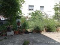 Vonkajšia záhrada v ubytovaní City Apartment TODOR