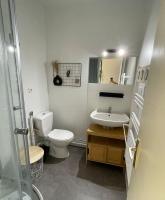 a bathroom with a toilet and a sink at *Le Baudin : T2 cosy vue dégagée in Limoges