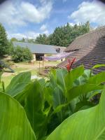 a garden with green plants in front of a house at Loire Valley Llama Farm Stay in Lavernat