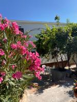 A garden outside Alojamiento Rural Mar de Olivos