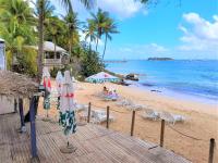 a beach with chairs and umbrellas and the ocean at ILET BLEU studio cosy RDC vue mer et jardin - Accès direct plage in Le Gosier
