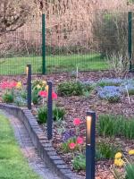 a garden with colorful flowers in a yard at Gästehaus Am Radweg in Blieskastel