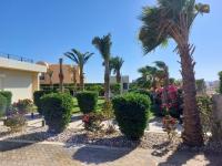Zahrada ubytování El Gouna luxe