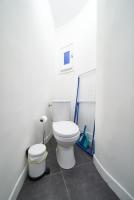 a bathroom with a white toilet in a room at Studio cosy Valmy- Vaise-Lyon centre in Lyon