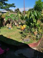 a garden with plants and flowers in a yard at Chez Denis et Lucie in Saint-André