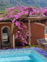 a house with a tree with pink flowers next to a swimming pool at Villa Ambra Positano in Positano