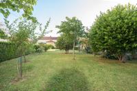 a yard with trees and a house in the background at Apartment Ivana in Roč