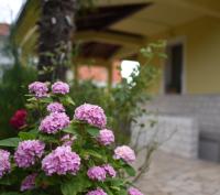 a bunch of pink flowers in front of a house at Apartment Ivana in Roč