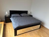 Postel nebo postele na pokoji v ubytování Apartments Spačilova nearly center