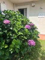 Vonkajšia záhrada v ubytovaní Residenza Ambrogi