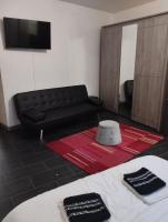 a living room with a black couch and a red rug at Appartement T2 Brest Pilier Rouge avec internet in Brest
