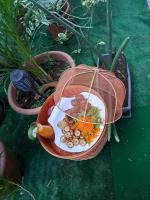 Еда / где поесть недалеко от апартаментов/квартиры