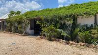 a building with a bunch of plants on it at Cactus lodge Zanzibar in Nungwi