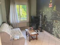 a living room with a couch and a coffee table at Appartement T2 lumineux CHU Stade Gaston Gérard 2 nuits minimum in Dijon