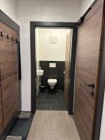 a bathroom with a toilet and a sink at Apart Finazzer in Wenns