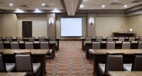 Der Geschäftsbereich oder Konferenzraum in der Unterkunft Embassy Suites by Hilton Dulles Airport