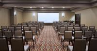 Der Geschäftsbereich oder Konferenzraum in der Unterkunft Embassy Suites by Hilton Dulles Airport