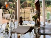 Vườn quanh Es Revellar Art Resort - Adults Only