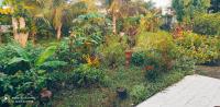 Zahrada ubytov&aacute;n&iacute; Logement cosy cadre tropical, arbres fruitiers