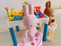 a pink sock bear on a shoe in front of a table at Legoland 5min HappyBunny-D'Pristine in Nusajaya