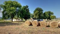 Plán poschodí v ubytovaní Agriturismo Uliveto Gretacci