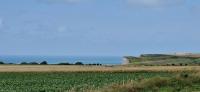 a field of crops with the ocean in the background at Maison 4 A 6 Personnes in Belleville-sur-Mer