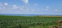 a large field of crops with the ocean in the background at Maison 4 A 6 Personnes in Belleville-sur-Mer
