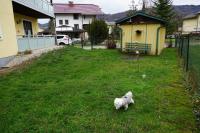 Domáce zviera alebo zvieratá hostí v ubytovaní Walters Appartment - Wohfühlurlaub für Mensch und Hund
