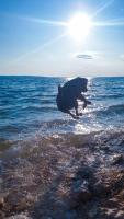 a dog running in the water on the beach at Larah Land 4 Star Glamping Yala Lodge plus kids lodge in Šimuni