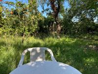 a white chair sitting in the grass in an apple orchard at Cozy home&amp;garden (Paris&#47;Disney) in Noisy-le-Sec