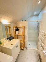 a bathroom with a shower and a sink and a toilet at Gite du Moulin in Saint-Laurent-dʼAndenay