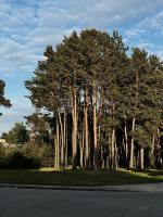 Naturlandschaft in der Nähe des Hotels