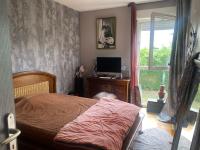 a bedroom with a bed and a television and a window at Agréables chambres dans maison suspendue in Saint-Étienne