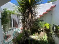 a palm tree in a garden next to a building at La Casba 15 mm plage Contis in Lévignacq