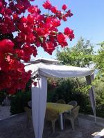 a table and umbrella under a tree with red flowers at Raymondos Apartments in Lassi