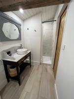 a bathroom with a sink and a shower at LE CLOS DE FLO 17 in Saint-Rogatien