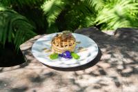 SangyangAranka Tempasan的一盘食物，上面放着一块华夫饼