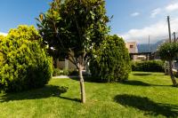 Zahrada ubytování Villa Athina