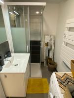 a bathroom with a white sink and a shower at Le Studio in Montauban