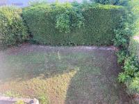 an overhead view of a garden with bushes at Agréables chambres dans maison suspendue in Saint-Étienne
