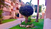 Vonkajšia záhrada v ubytovaní MARBELLA - ALICATE BEACHFRONT Apartment - 5