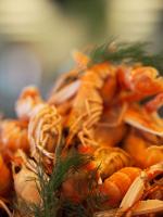 Φαγητό σε αυτό το ξενοδοχείο ή κάπου εκεί κοντά