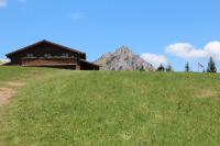 Táj Show homestays közelében