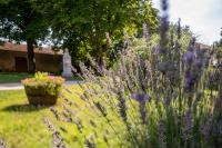 Zahrada ubytování Gîtes de Pehillo - Piscine & vacances nature à Nérac