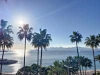a group of palm trees on a beach with the ocean at Appartement Cannes, 2 pièces, 2 personnes - FR-1-470-27 in Cannes
